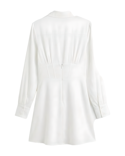 Corset Waist Shirt Mini Dress