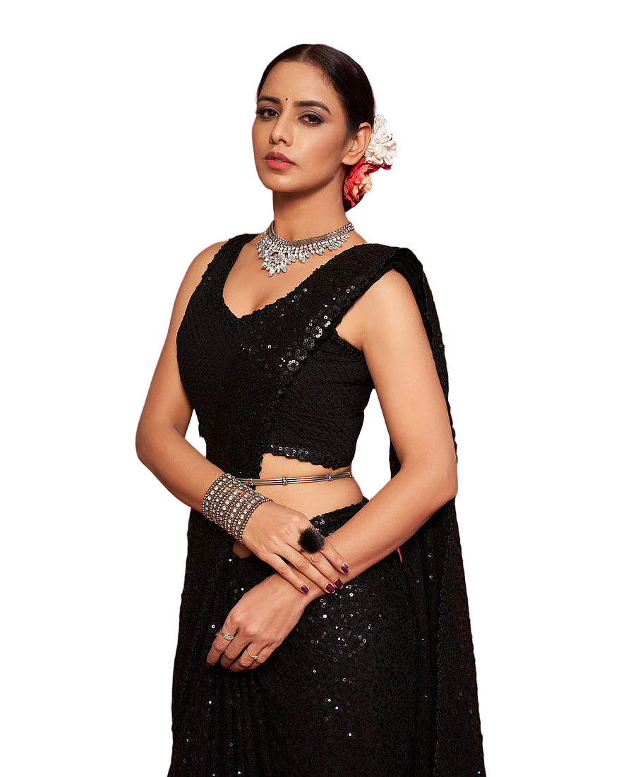 Sequin Embroidered Party Saree
