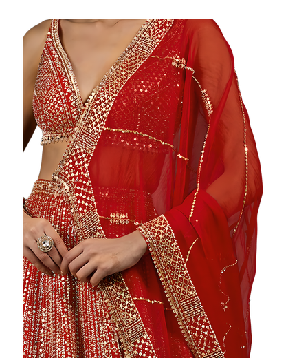 Luxury Bridal Embroidered Designer Lehenga Set