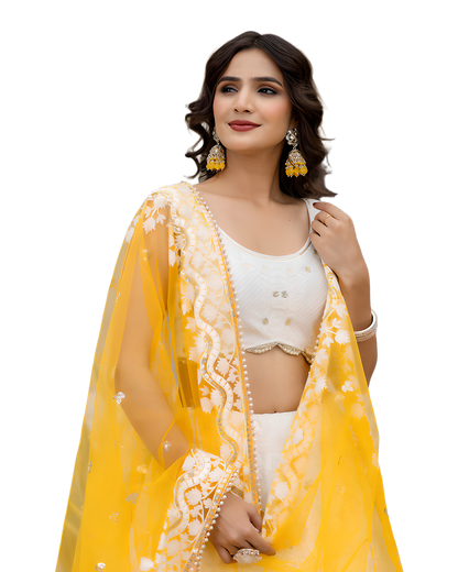 Elegant Festive Embroidered Lehenga Set