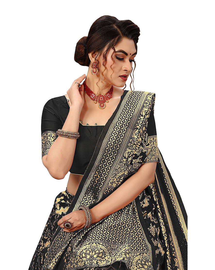 Traditional Woven Zari Designer Banarasi Saree