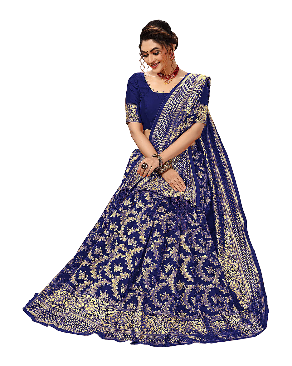 Traditional Woven Zari Designer Banarasi Saree
