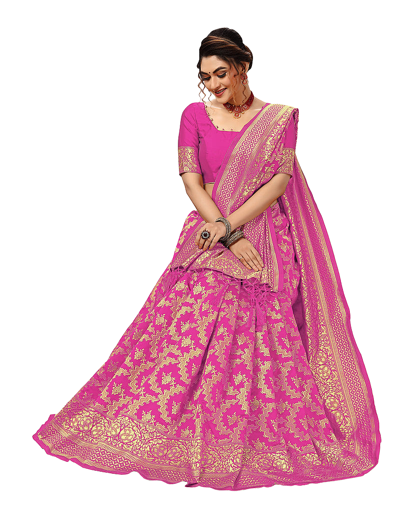 Traditional Woven Zari Designer Banarasi Saree
