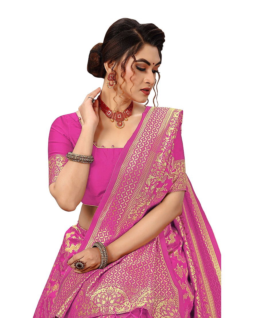 Traditional Woven Zari Designer Banarasi Saree