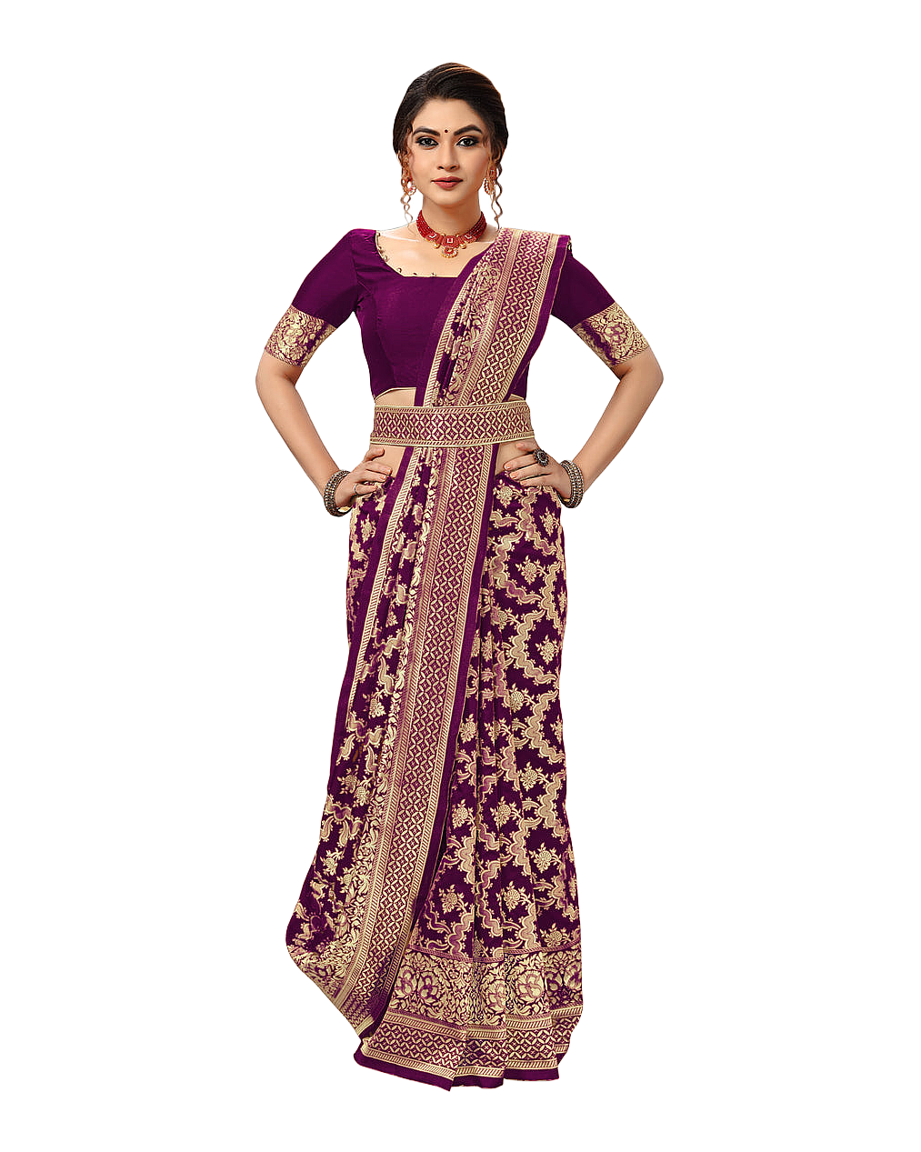 Traditional Woven Zari Designer Banarasi Saree