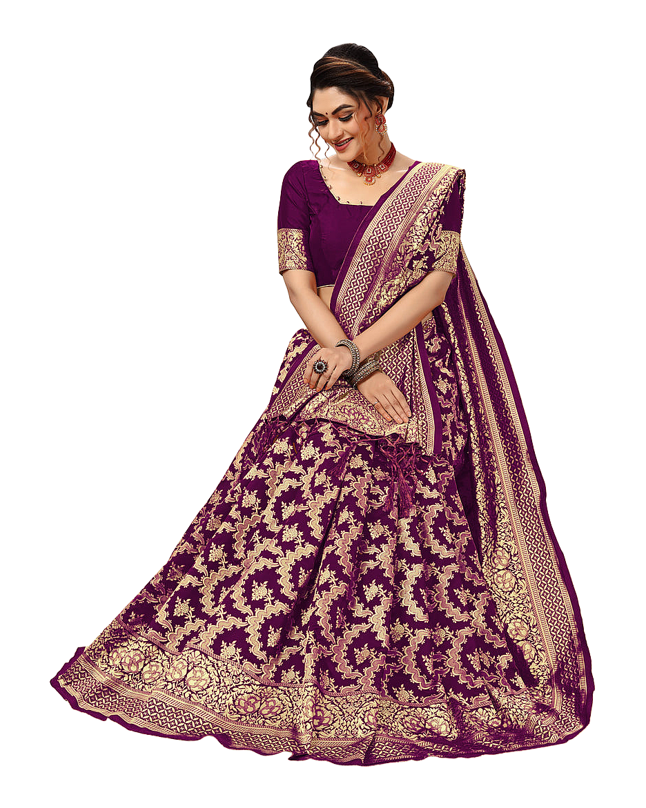 Traditional Woven Zari Designer Banarasi Saree
