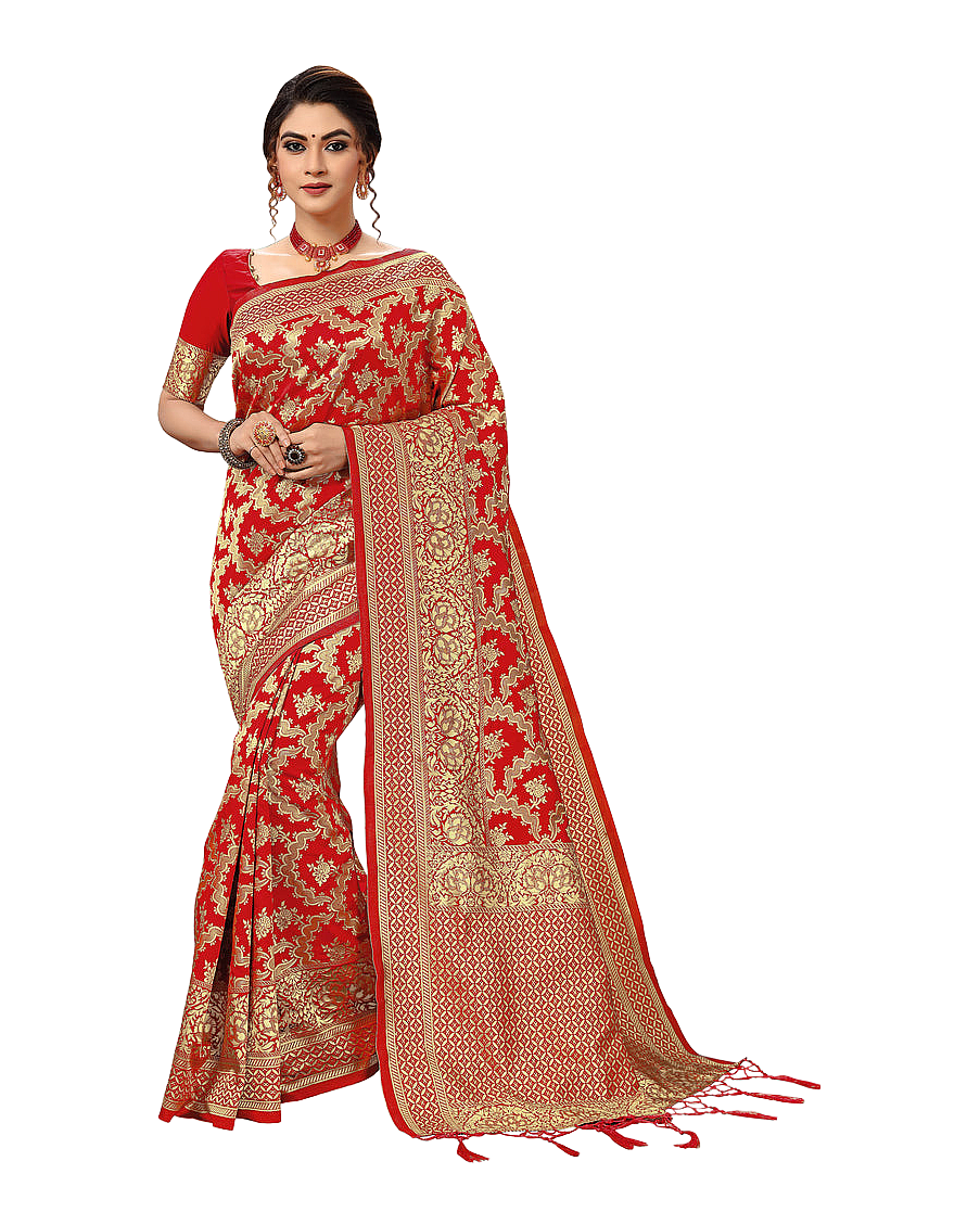 Traditional Woven Zari Designer Banarasi Saree