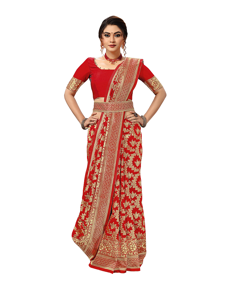 Traditional Woven Zari Designer Banarasi Saree