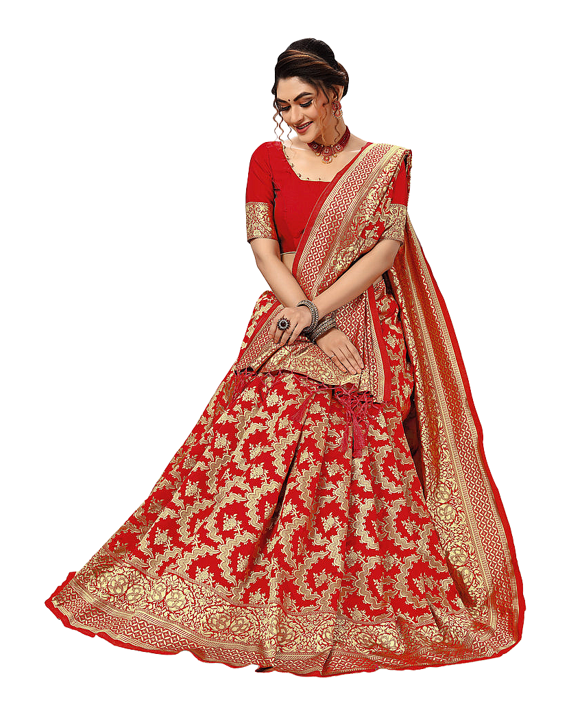 Traditional Woven Zari Designer Banarasi Saree