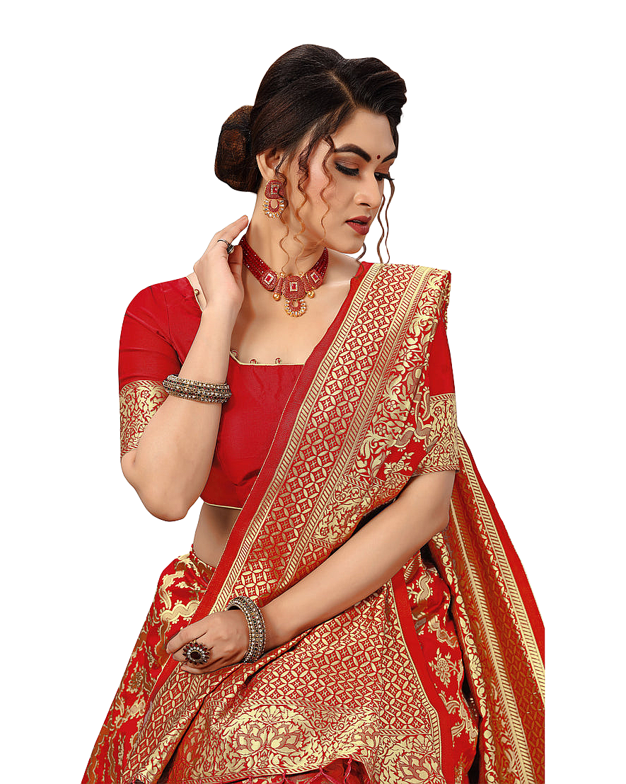 Traditional Woven Zari Designer Banarasi Saree